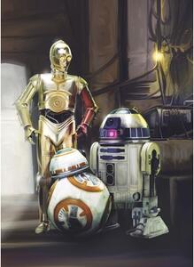 Fototapet hârtie 4-447 Disney Edition 4 Star Wars 3 Droids 184x254 cm