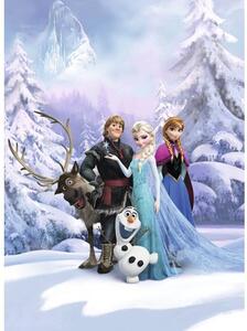 Fototapet hârtie 8-498 Disney Edition 4 Frozen Winter Land 184x254 cm