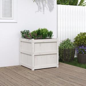 Jardinieră de grădină, alb, 60x60x60 cm, lemn masiv de pin