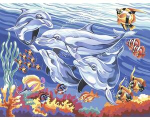 Pictură pe numere Reeves Dolphins 30x40 cm