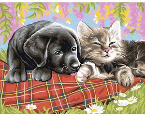 Pictură pe numere Câine și pisică 30x40 cm