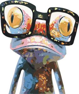 Pictură pe numere Frog with glasses 40x50 cm