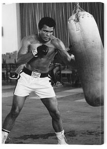 Tablou pe pânză Muhammad Ali - Punch Bag