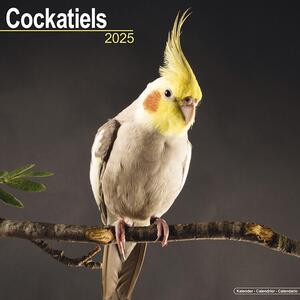 Calendar 2025 Cockatiels