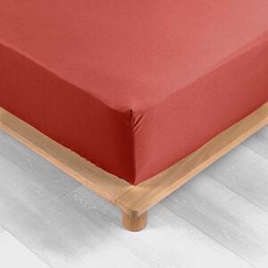Cearceaf cărămiziu din bumbac percal cu elastic 90x190 cm Percaline – douceur d'intérieur