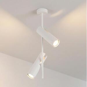Brilagi - Lustră pe tijă BRANCH 2xGU10/30W/230V albă