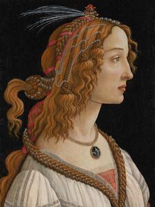 Artă imprimată Portrait of Simonetta Vespucci - Sandro Botticelli, (30 x 40 cm)