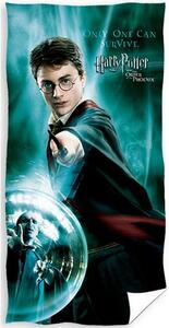 Prosop Harry Potter Only One Can Survive , 70 x140 cm