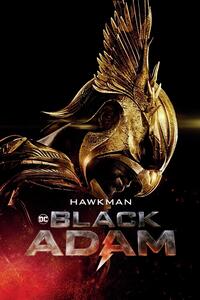 Poster de artă Black Adam - Hawkman, (26.7 x 40 cm)