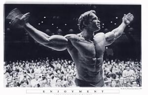 Poster Arnold Schwarzenegger - Enjoyment, (91.5 x 61 cm)