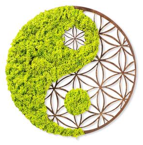 Decorațiune murală din lemn și mușchi, yin-yang, 44 cm