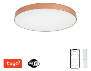 BRILAGI-LED Corp de iluminat cu dimmer POOL SMART LED/100W/230V 80 cm Wi-Fi Tuya finisaj cupru+ telecomandă