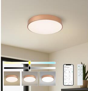 BRILAGI-LED Corp de iluminat dimerizabil POOL SMART LED/48W/230V 40 cm Wi-Fi Tuya cupru + telecomandă