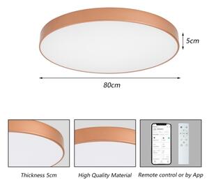 BRILAGI-LED Corp de iluminat cu dimmer POOL SMART LED/100W/230V 80 cm Wi-Fi Tuya finisaj cupru+ telecomandă