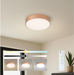 BRILAGI - Plafonieră LED dimabilă POOL LED/36W/230V pr. 30 cm cupru +DO