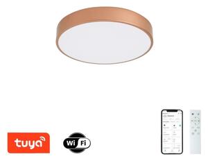 BRILAGI-LED Corp de iluminat dimerizabil POOL SMART LED/48W/230V 40 cm Wi-Fi Tuya cupru + telecomandă