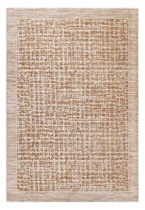 Covor bej 240x320 cm Anders Beige Natural – Asiatic Carpets