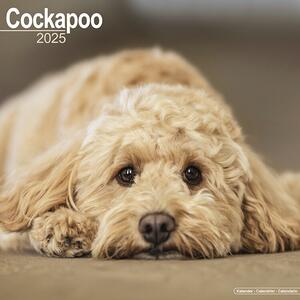 Calendar 2025 Cockapoo