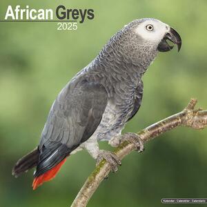 Calendar 2025 African Greys