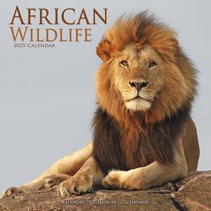 Calendar 2025 African Wildlife