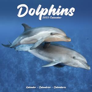 Calendar 2025 Dolphins