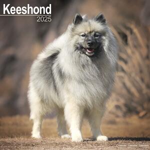 Calendar 2025 Keeshond