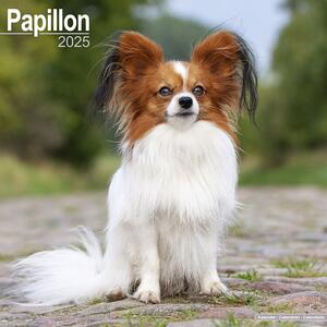 Calendar 2025 Papillon