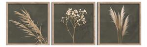 Tablouri 3 buc. 30x30 cm Pampas – Styler