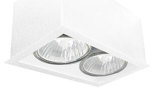 Brosline 1081 - Lampă spot CAGE 2xGU10/10W/230V, albă