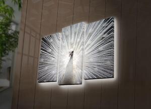 Tablou Canvas cu Led Paun, Multicolor, 66x45 cm