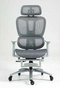 Scaun ergonomic, cotiere 3D, suport picioare, Full Mesh, Gri