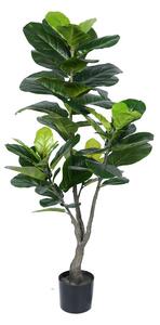 Planta decorativa Fiddleheadghiveci, verde, H120cm