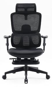 Scaun ergonomic SIHOO, spătar reglabil înălțime, suport lombar, tetieră reglabilă, mecanism înclinare/blocare în 3 poziții, suport picioare, pivotant, Mesh, Negru