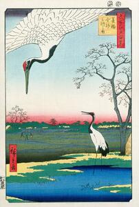 Reproducere Minowa Kanasugi Mikawashima (Japanese Cranes), Utagawa Hiroshige