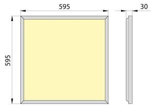 LED Panou încastrat OREGA PLUS 60 LED/50W/230V 4000K IP40