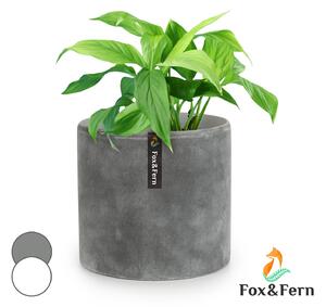 Fox & Fern