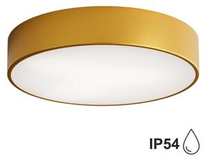 Plafonieră pentru baie Brilagi CLARE 2xE27/24W/230V d. 40 cm IP54 auriu