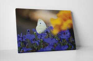 Tablou canvas : Fluturele alb