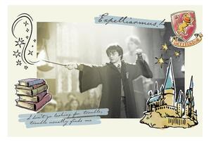 Poster de artă Harry Potter - Expelliarmus