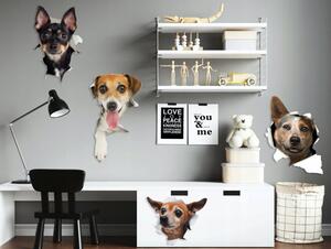 Autocolant de perete unic pentru iubitorii de câini 80 x 160 cm