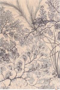 Covor verde mentă/bej din lână 133x190 cm V&A Calisia Kelp – Agnella