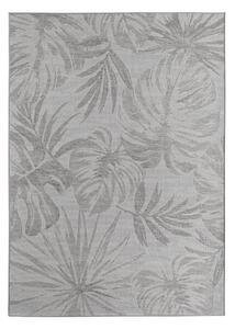 Covor pentru exterior și interior gri 80x150 cm Desert 1302 – Ayyildiz Carpets