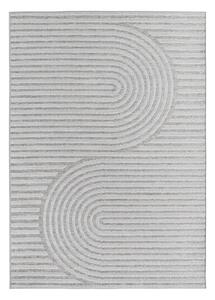 Covor pentru exterior și interior gri 80x150 cm Desert 1301 – Ayyildiz Carpets