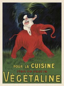 Artă imprimată Végétaline (Vintage Ad Ft. Elephant) - Leonetto Cappiello, (30 x 40 cm)