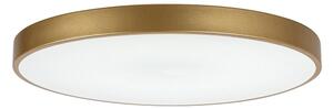 Rabalux 71038 -LED Plafonieră LED dimabilă TESIA LED/60W/230V 3000-6000K+telecomandă