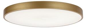 Rabalux 71038 -LED Plafonieră LED dimabilă TESIA LED/60W/230V 3000-6000K+telecomandă