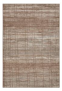 Covor maro/bej 120x170 cm Terrain – Hanse Home