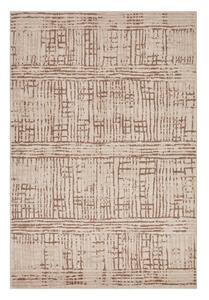 Covor maro/bej 120x170 cm Terrain – Hanse Home
