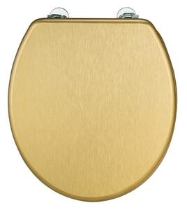 Capac WC 38 x 41 cm Aldeno – Wenko