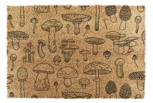 Covoraș de intrare din fibre de nucă de cocos 40x60 cm Mushrooms – Artsy Doormats